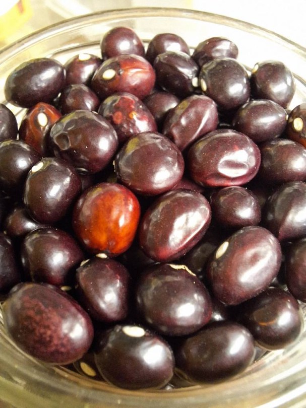 R?nega Negra futóbab - bab, Phaseolus vulgaris, hüvelyes